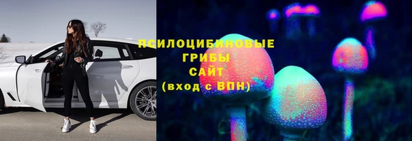 не бодяженный Гусь-Хрустальный