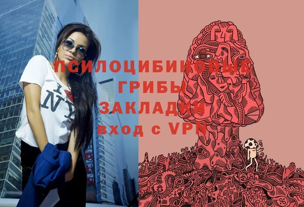 мдма Гусиноозёрск