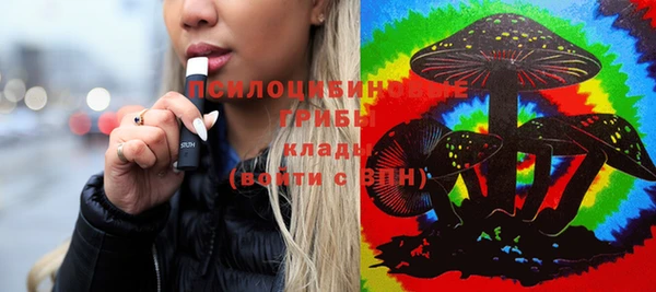 не бодяженный Гусь-Хрустальный
