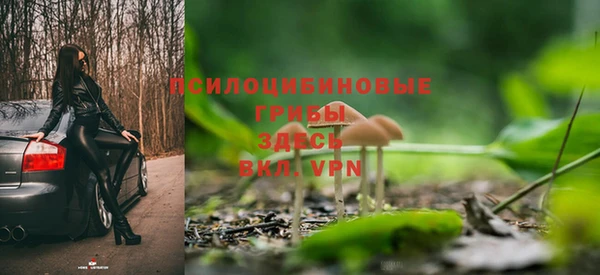 мдма Гусиноозёрск